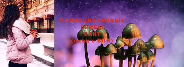 ешки Абаза