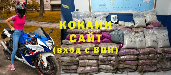 дживик Абинск