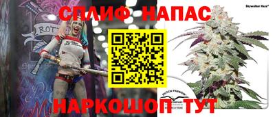 шишки Тверь