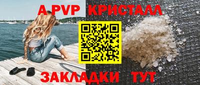 шишки Тверь