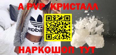 шишки Тверь