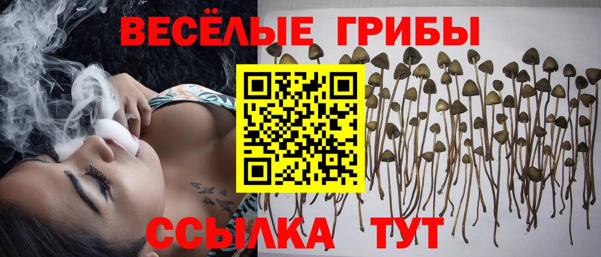 Галлюциногенные грибы мухоморы Нефтеюганск